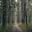 halsingetickan.com favicon